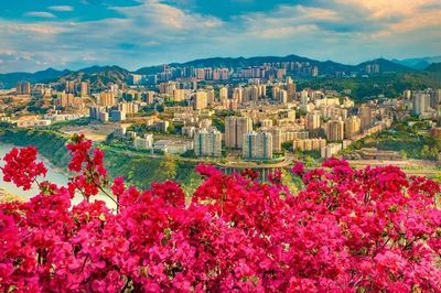 拉票!看一看 瞧一瞧 2017年民生示范工程出爐啦,請(qǐng)為28號(hào)攀枝花投一票~