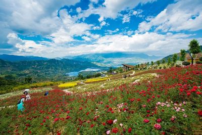 回憶滿滿!縱然10年之久,依然心掛攀枝花